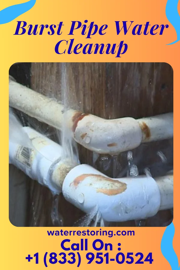 Burst Pipe Water Cleanup in Long Creek, NC