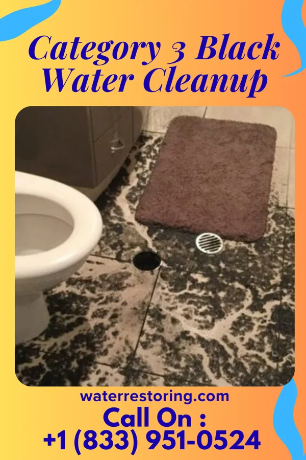 Category 3 Black Water Cleanup in Long Creek, NC